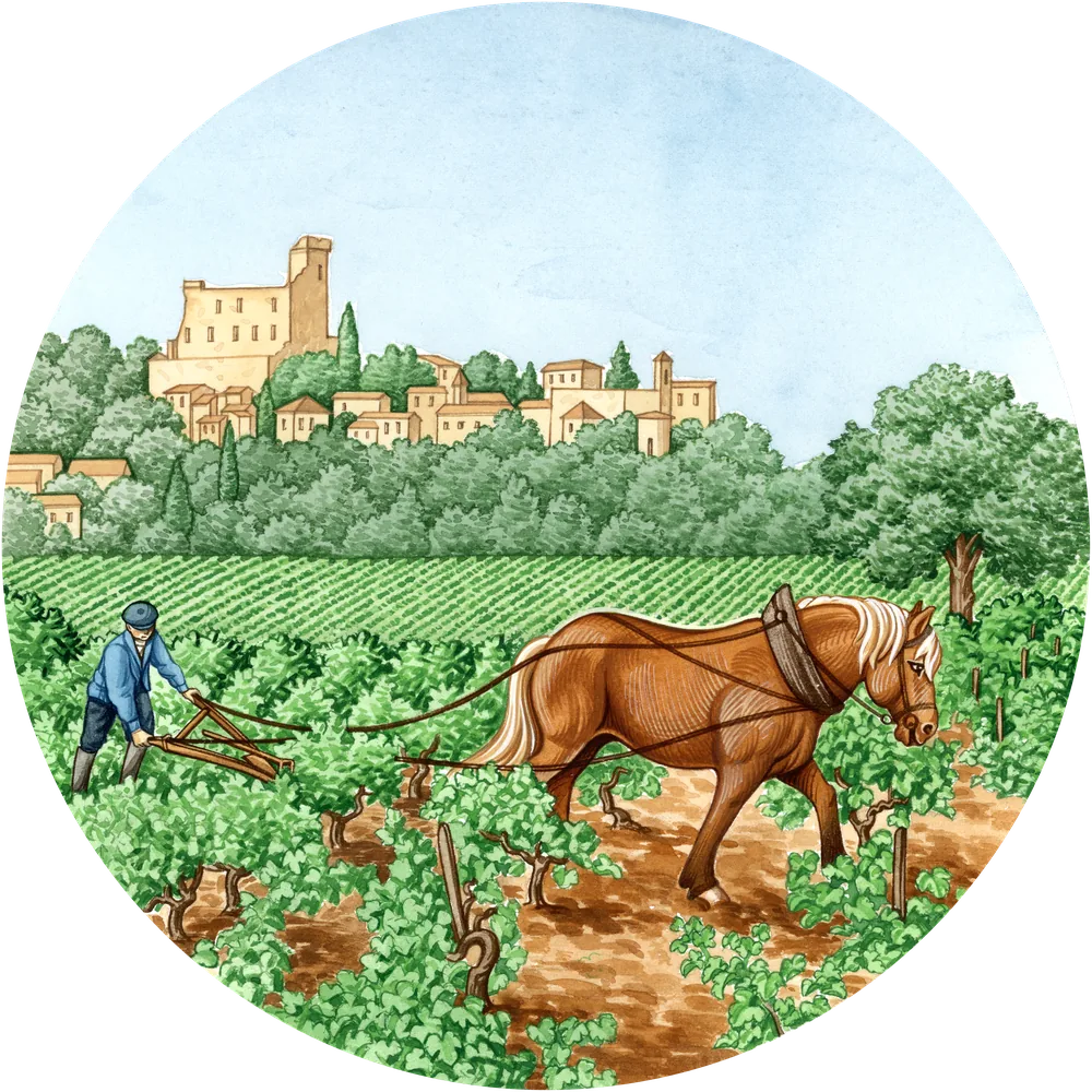 Assiette illustrée : le travail du cheval dans les vignes