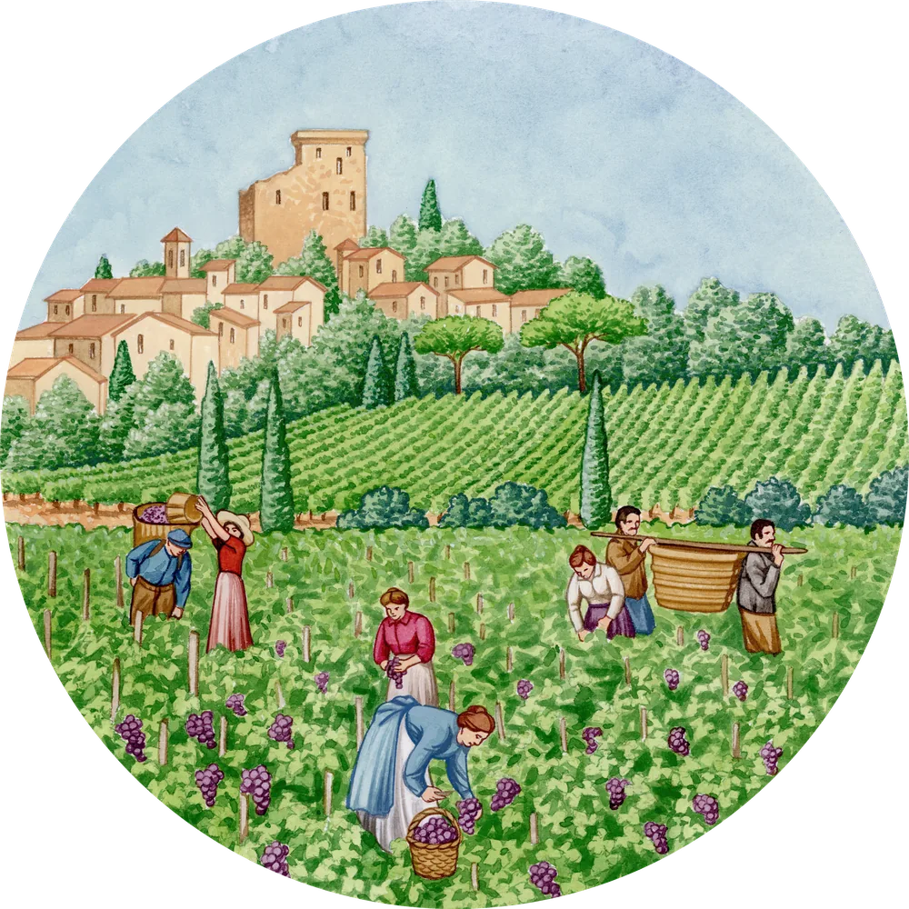 Assiette illustrée : les vendanges à Châteauneuf-du-Pape, château en fond