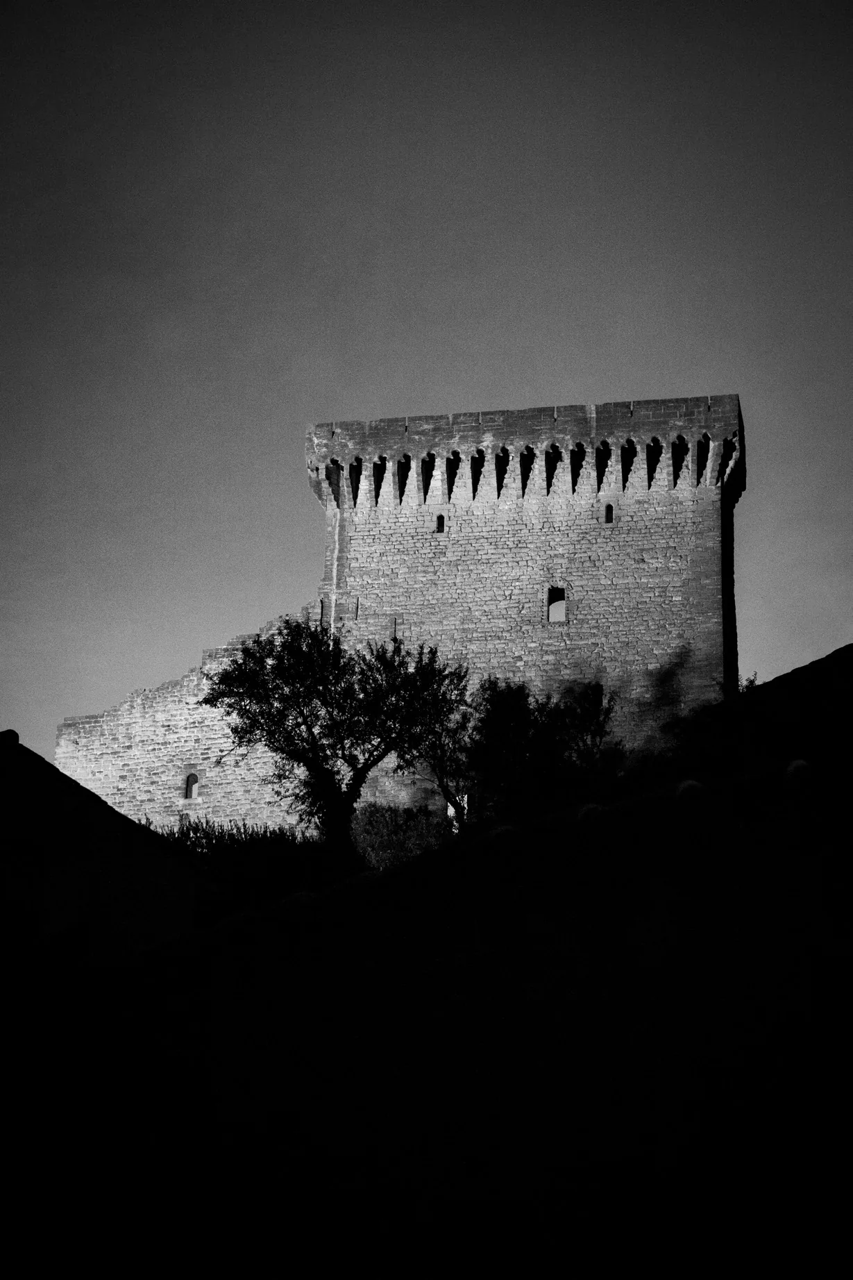 Carte postale : tour du château de Châteauneuf-du-Pape en noir et blanc